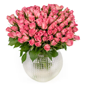 100 rosa rosor